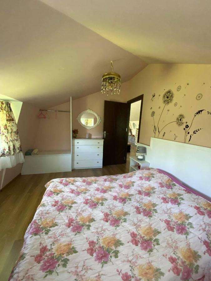 Nino'S Veranda Apartment Telavi Dış mekan fotoğraf