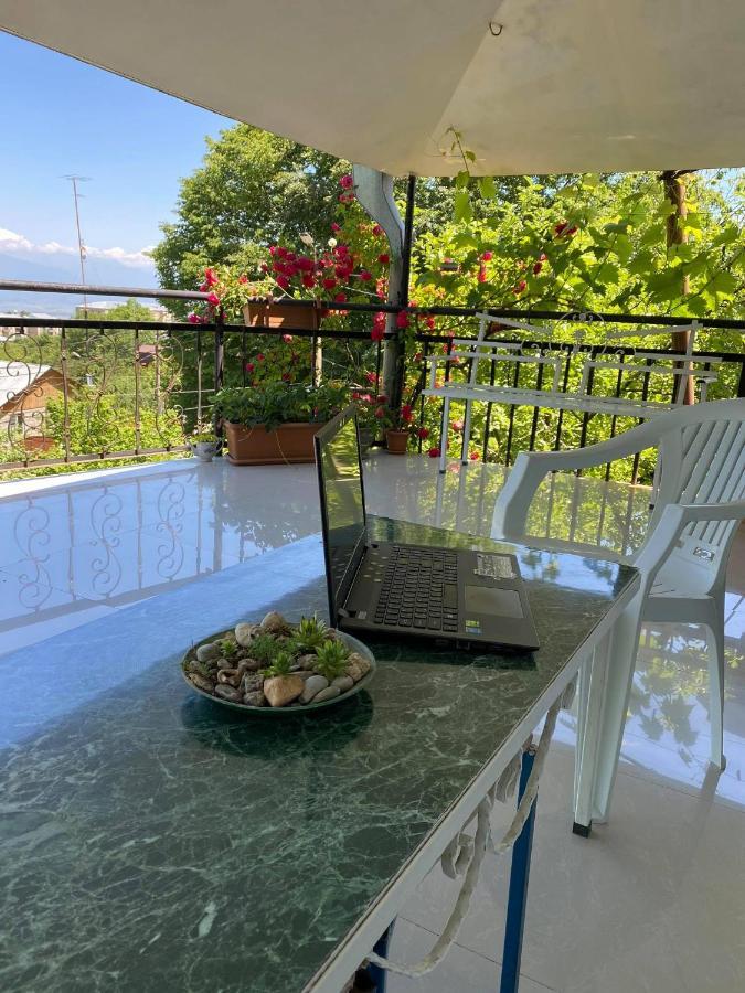Nino'S Veranda Apartment Telavi Dış mekan fotoğraf