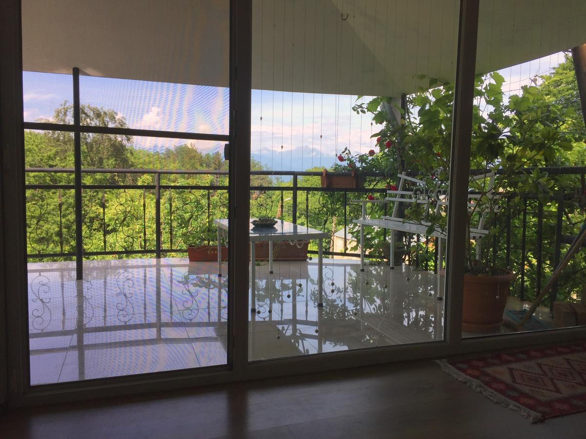 Nino'S Veranda Apartment Telavi Dış mekan fotoğraf