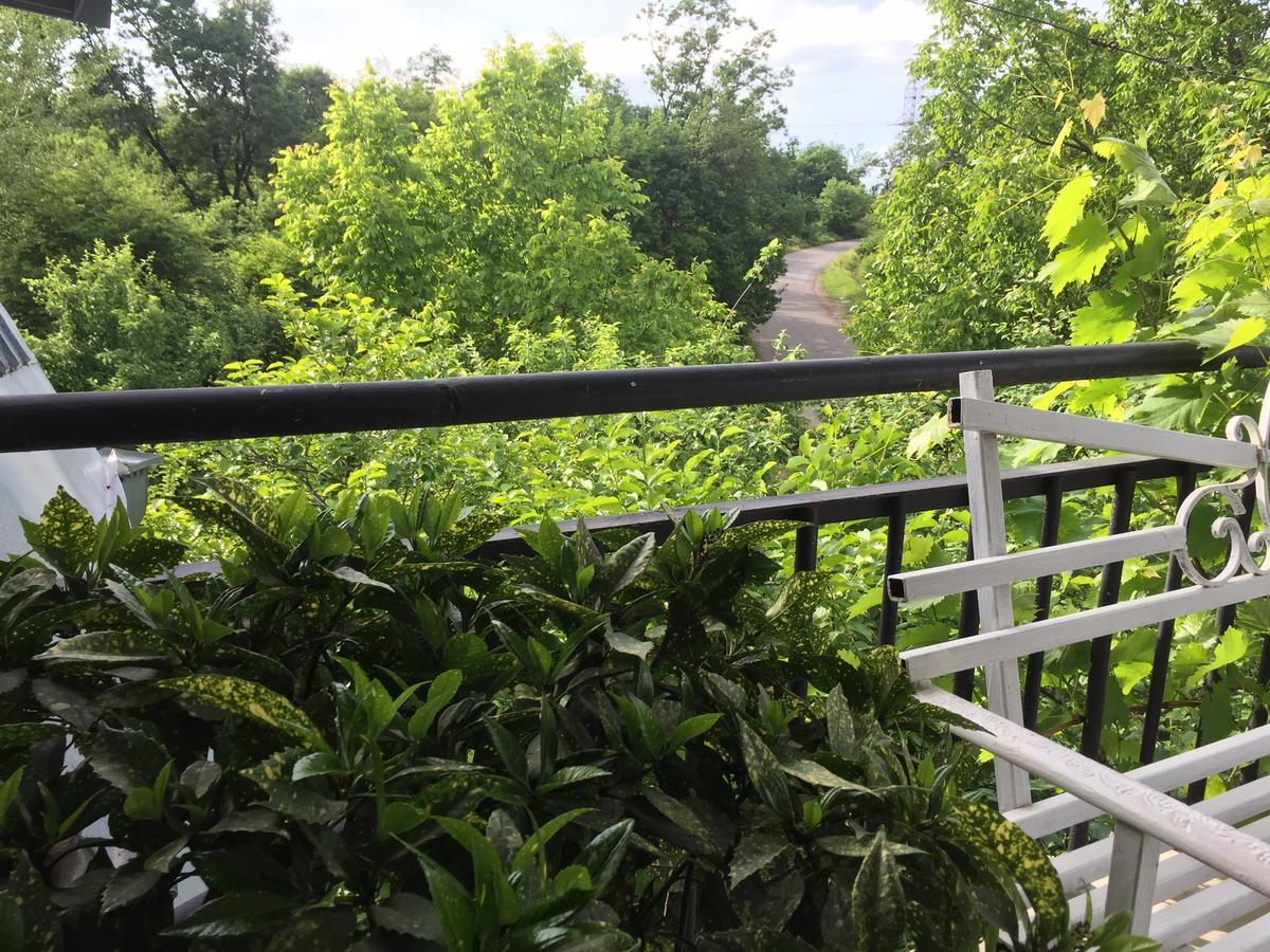 Nino'S Veranda Apartment Telavi Dış mekan fotoğraf